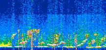 /calipso-imagery/data/BROWSE/production/V5-00/2022-06-21/2022-06-21_20-03-06_V5.00_3_thmb.png image missing