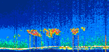/calipso-imagery/data/BROWSE/production/V5-00/2022-06-21/2022-06-21_21-41-36_V5.00_1_thmb.png image missing