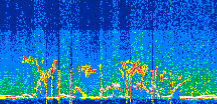 /calipso-imagery/data/BROWSE/production/V5-00/2022-06-21/2022-06-21_23-20-07_V5.00_3_thmb.png image missing