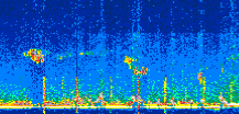 /calipso-imagery/data/BROWSE/production/V5-00/2022-06-24/2022-06-24_00-34-48_V5.00_2_thmb.png image missing