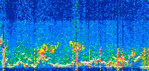 /calipso-imagery/data/BROWSE/production/V5-00/2022-06-24/2022-06-24_02-13-13_V5.00_3_thmb.png image missing