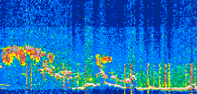 /calipso-imagery/data/BROWSE/production/V5-00/2022-06-24/2022-06-24_03-51-43_V5.00_3_thmb.png image missing