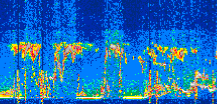 /calipso-imagery/data/BROWSE/production/V5-00/2022-06-24/2022-06-24_07-08-44_V5.00_2_thmb.png image missing