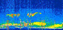 /calipso-imagery/data/BROWSE/production/V5-00/2022-06-24/2022-06-24_12-04-09_V5.00_2_thmb.png image missing