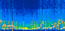 /calipso-imagery/data/BROWSE/production/V5-00/2022-06-24/2022-06-24_12-04-09_V5.00_3_thmb.png image missing