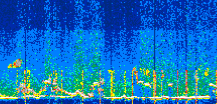 /calipso-imagery/data/BROWSE/production/V5-00/2022-06-24/2022-06-24_18-38-05_V5.00_3_thmb.png image missing