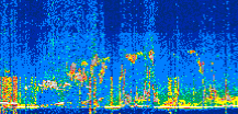 /calipso-imagery/data/BROWSE/production/V5-00/2022-06-24/2022-06-24_20-16-35_V5.00_2_thmb.png image missing