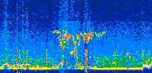 /calipso-imagery/data/BROWSE/production/V5-00/2022-06-24/2022-06-24_21-55-05_V5.00_2_thmb.png image missing