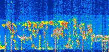 /calipso-imagery/data/BROWSE/production/V5-00/2022-06-28/2022-06-28_07-59-31_V5.00_2_thmb.png image missing