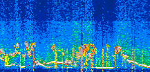 /calipso-imagery/data/BROWSE/production/V5-00/2022-06-28/2022-06-28_07-59-31_V5.00_3_thmb.png image missing