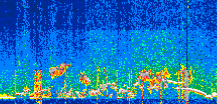 /calipso-imagery/data/BROWSE/production/V5-00/2022-06-28/2022-06-28_14-33-27_V5.00_3_thmb.png image missing