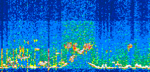 /calipso-imagery/data/BROWSE/production/V5-00/2022-06-28/2022-06-28_16-11-57_V5.00_3_thmb.png image missing