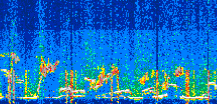 /calipso-imagery/data/BROWSE/production/V5-00/2022-06-28/2022-06-28_17-50-27_V5.00_3_thmb.png image missing