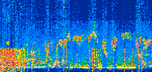 /calipso-imagery/data/BROWSE/production/V5-00/2022-06-28/2022-06-28_19-28-52_V5.00_2_thmb.png image missing