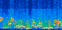 /calipso-imagery/data/BROWSE/production/V5-00/2022-06-28/2022-06-28_19-28-52_V5.00_3_thmb.png image missing