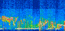 /calipso-imagery/data/BROWSE/production/V5-00/2022-06-29/2022-06-29_02-02-53_V5.00_3_thmb.png image missing