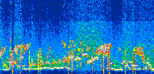 /calipso-imagery/data/BROWSE/production/V5-00/2022-06-29/2022-06-29_05-19-48_V5.00_3_thmb.png image missing