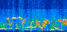 /calipso-imagery/data/BROWSE/production/V5-00/2022-06-29/2022-06-29_06-58-19_V5.00_3_thmb.png image missing