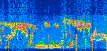 /calipso-imagery/data/BROWSE/production/V5-00/2022-06-29/2022-06-29_08-36-49_V5.00_2_thmb.png image missing