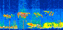 /calipso-imagery/data/BROWSE/production/V5-00/2022-06-29/2022-06-29_10-15-19_V5.00_2_thmb.png image missing