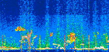/calipso-imagery/data/BROWSE/production/V5-00/2022-06-29/2022-06-29_16-49-15_V5.00_3_thmb.png image missing