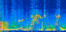 /calipso-imagery/data/BROWSE/production/V5-00/2022-06-29/2022-06-29_20-06-15_V5.00_2_thmb.png image missing