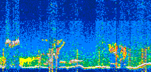 /calipso-imagery/data/BROWSE/production/V5-00/2022-06-30/2022-06-30_12-31-07_V5.00_3_thmb.png image missing