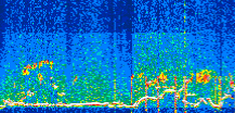 /calipso-imagery/data/BROWSE/production/V5-00/2022-06-30/2022-06-30_15-48-03_V5.00_3_thmb.png image missing