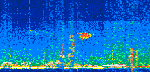 /calipso-imagery/data/BROWSE/production/V5-00/2022-06-30/2022-06-30_22-22-04_V5.00_2_thmb.png image missing