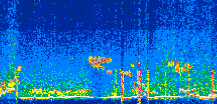 /calipso-imagery/data/BROWSE/production/V5-00/2022-07-01/2022-07-01_11-29-55_V5.00_3_thmb.png image missing