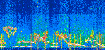 /calipso-imagery/data/BROWSE/production/V5-00/2022-07-01/2022-07-01_19-42-21_V5.00_3_thmb.png image missing