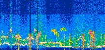 /calipso-imagery/data/BROWSE/production/V5-00/2022-07-01/2022-07-01_21-20-51_V5.00_3_thmb.png image missing