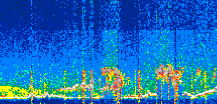 /calipso-imagery/data/BROWSE/production/V5-00/2022-07-03/2022-07-03_12-44-31_V5.00_3_thmb.png image missing