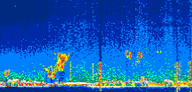 /calipso-imagery/data/BROWSE/production/V5-00/2022-07-03/2022-07-03_22-35-28_V5.00_1_thmb.png image missing