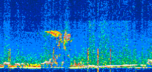 /calipso-imagery/data/BROWSE/production/V5-00/2022-07-03/2022-07-03_22-35-28_V5.00_2_thmb.png image missing