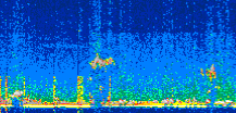 /calipso-imagery/data/BROWSE/production/V5-00/2022-07-04/2022-07-04_00-13-58_V5.00_2_thmb.png image missing