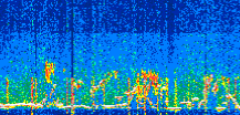 /calipso-imagery/data/BROWSE/production/V5-00/2022-07-04/2022-07-04_00-13-58_V5.00_3_thmb.png image missing