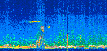 /calipso-imagery/data/BROWSE/production/V5-00/2022-07-04/2022-07-04_23-12-46_V5.00_2_thmb.png image missing