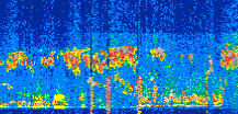 /calipso-imagery/data/BROWSE/production/V5-00/2022-07-05/2022-07-05_09-03-37_V5.00_2_thmb.png image missing