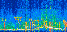 /calipso-imagery/data/BROWSE/production/V5-00/2022-07-05/2022-07-05_15-37-38_V5.00_3_thmb.png image missing