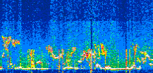 /calipso-imagery/data/BROWSE/production/V5-00/2022-07-05/2022-07-05_17-16-03_V5.00_3_thmb.png image missing