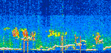 /calipso-imagery/data/BROWSE/production/V5-00/2022-07-05/2022-07-05_23-50-04_V5.00_3_thmb.png image missing