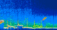 /calipso-imagery/data/BROWSE/production/V5-00/2022-07-05/2022-07-05_23-50-04_V5.00_4_thmb.png image missing