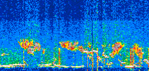 /calipso-imagery/data/BROWSE/production/V5-00/2022-07-10/2022-07-10_00-40-41_V5.00_3_thmb.png image missing