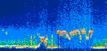 /calipso-imagery/data/BROWSE/production/V5-00/2022-07-10/2022-07-10_03-57-41_V5.00_1_thmb.png image missing