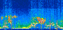 /calipso-imagery/data/BROWSE/production/V5-00/2022-07-10/2022-07-10_03-57-41_V5.00_3_thmb.png image missing
