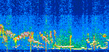 /calipso-imagery/data/BROWSE/production/V5-00/2022-07-10/2022-07-10_07-14-37_V5.00_3_thmb.png image missing