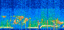 /calipso-imagery/data/BROWSE/production/V5-00/2022-07-10/2022-07-10_15-27-03_V5.00_3_thmb.png image missing