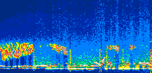 /calipso-imagery/data/BROWSE/production/V5-00/2022-07-10/2022-07-10_23-39-29_V5.00_1_thmb.png image missing