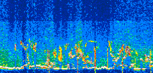 /calipso-imagery/data/BROWSE/production/V5-00/2022-07-10/2022-07-10_23-39-29_V5.00_3_thmb.png image missing